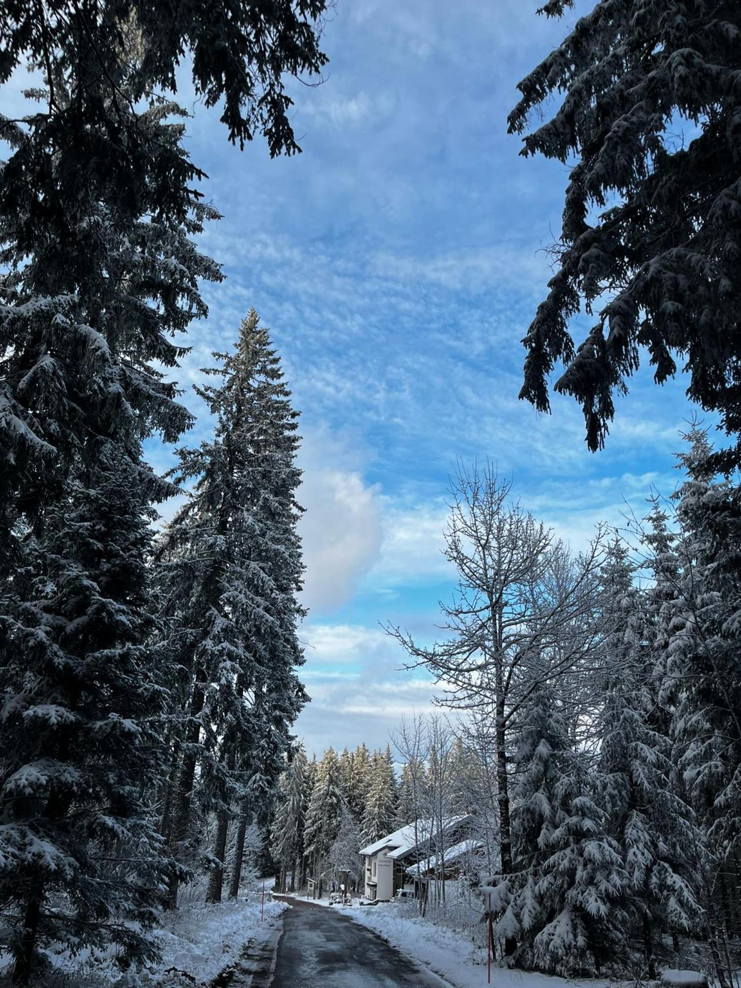 Naturfreundehaus Brend 富特旺根 外观 照片